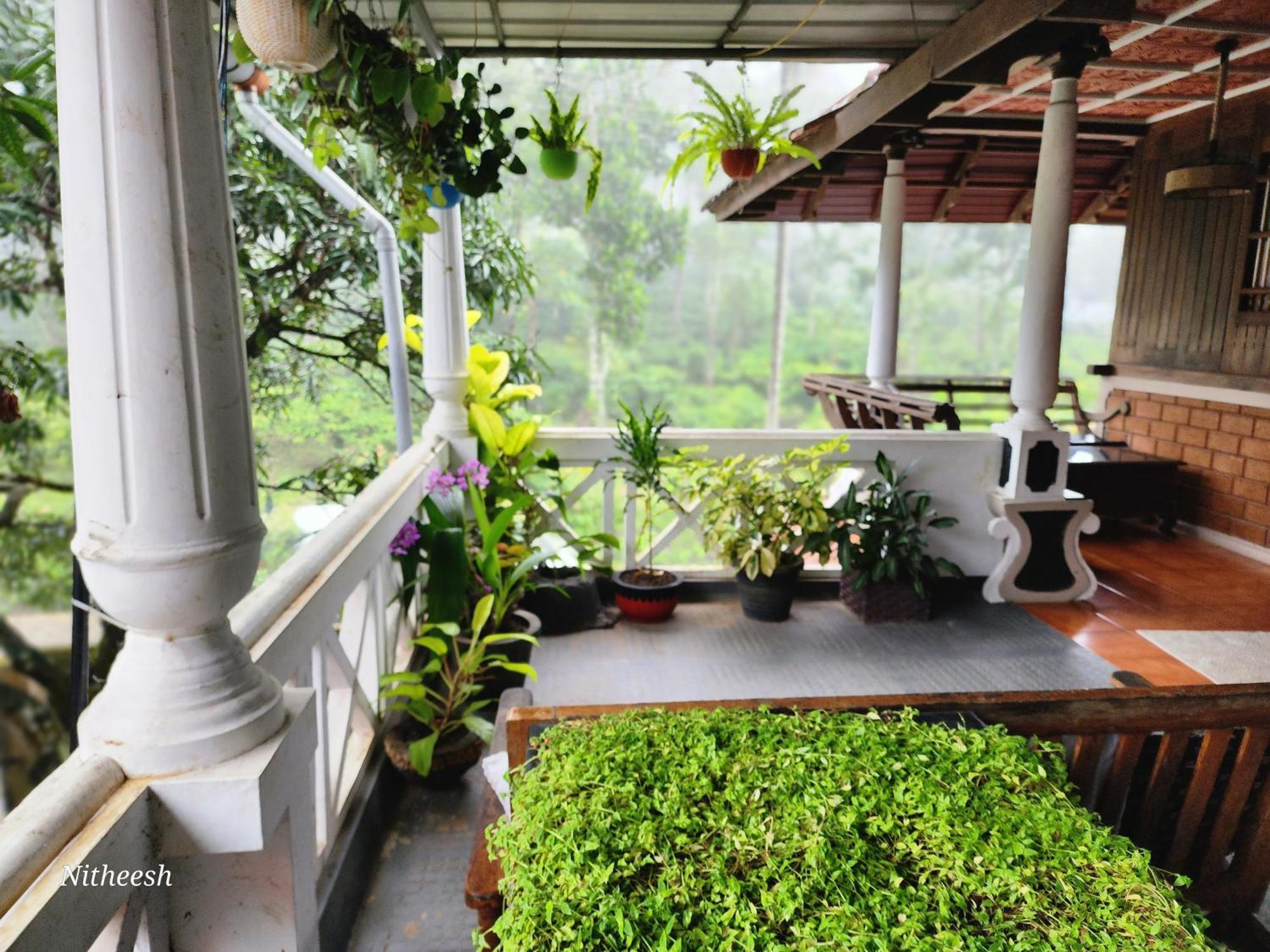 Kairali Palace Home Stay Thekkady Dış mekan fotoğraf